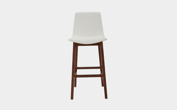 Brina Modern Bar Stool